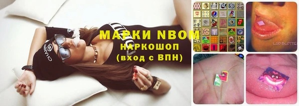 дживик Аркадак